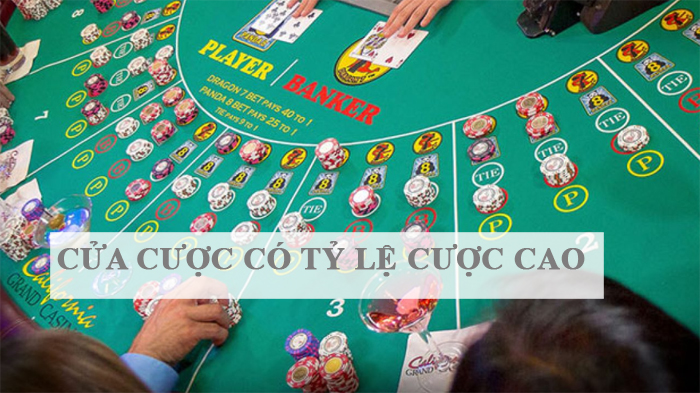 Đừng đâm đầu vào những cửa cược có tỷ lệ cược cao khi chơi Baccarat