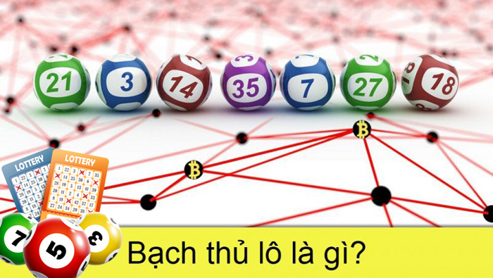 Bạch thủ lô là gì?