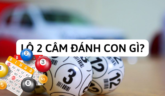 Lô 2 câm đánh con gì?