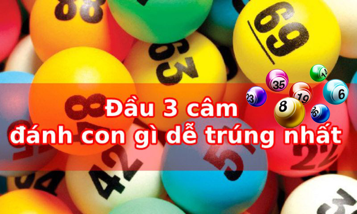 Lô đầu 3 câm là gì